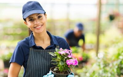 Choosing the Right Landscaping in Denver and Parker