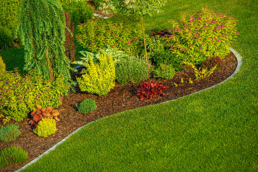 Qualities to Look For in the Best Landscapers in Parker CO The