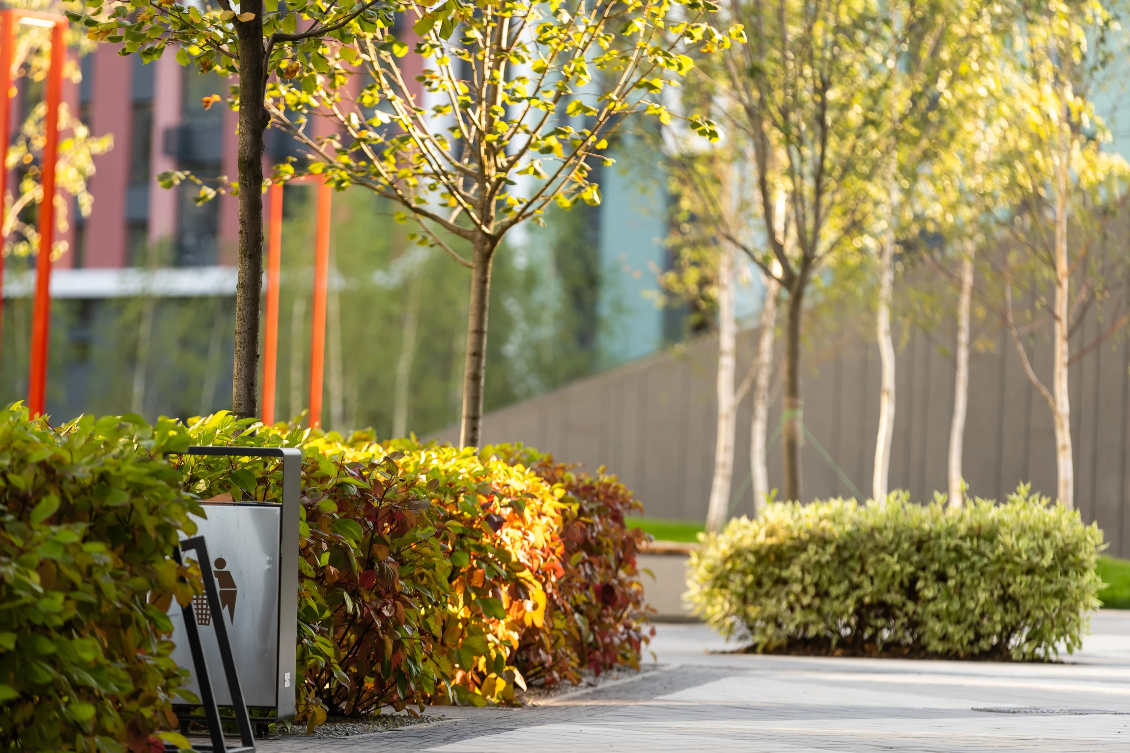 A sunlit walkway in a modern park, lined with young trees and green bushes. A silver trash can and bench are visible on the left, with buildings and a wall blurred in the background.