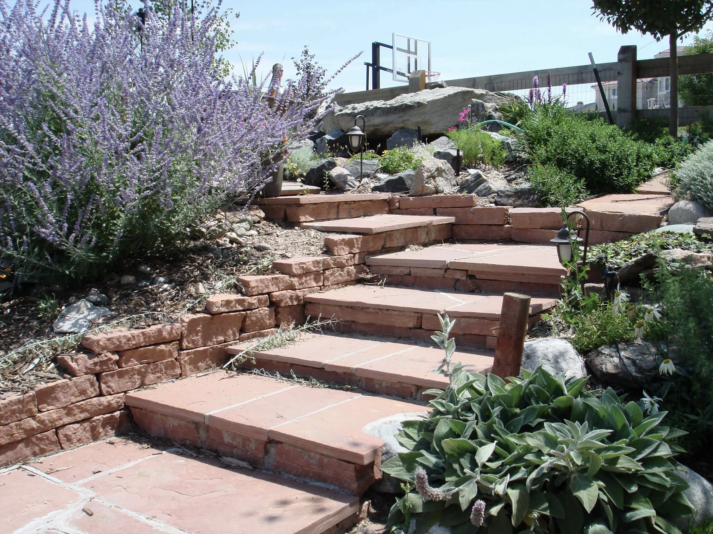 Terracotta stone steps lead up a garden hill, bordered by lush green plants, purple flowering bushes, rocks, and small shrubs under a sunny sky. A lamp and a basketball hoop are visible in the background.